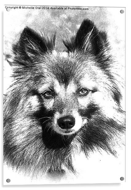Black and White Finnish Spitz Acrylic by Michelle Orai