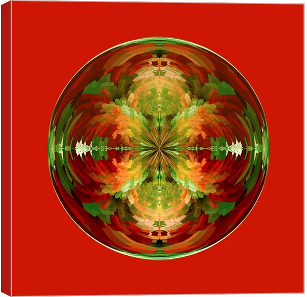 Amazed on red Canvas Print by Robert Gipson