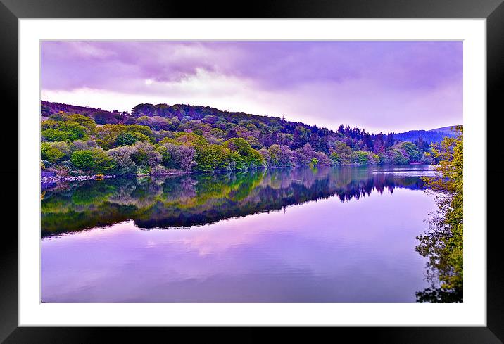 Reservoir View Framed Mounted Print by David Martin