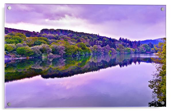 Reservoir View Acrylic by David Martin