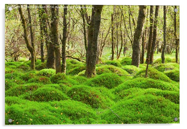 Evergreen Moss Wonderland Acrylic by Tommy Dickson
