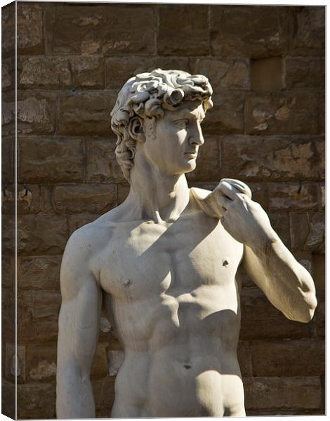Michelangelos David - Florence Canvas Print by Andy McGarry