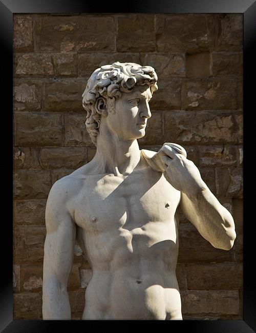 Michelangelos David - Florence Framed Print by Andy McGarry