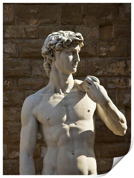 Michelangelos David - Florence Print by Andy McGarry