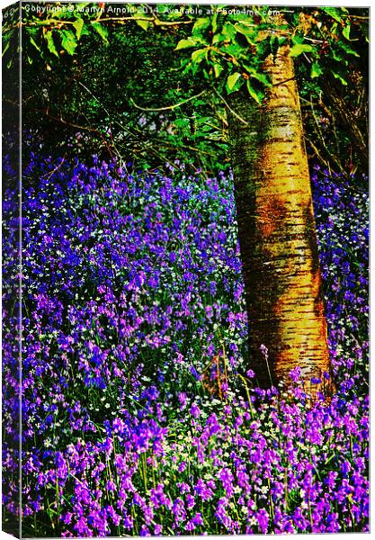 Bluebell Wood Canvas Print by Martyn Arnold