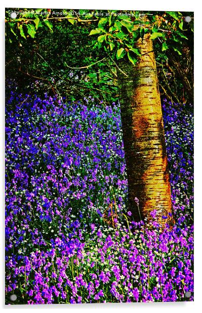 Bluebell Wood Acrylic by Martyn Arnold