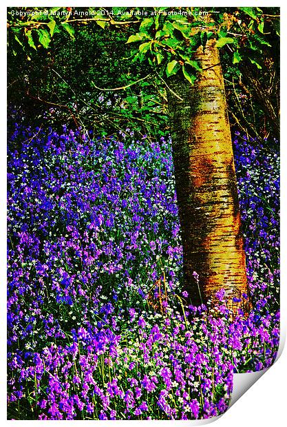 Bluebell Wood Print by Martyn Arnold