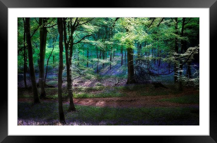 Spring Woodland Light Framed Mounted Print by Ceri Jones