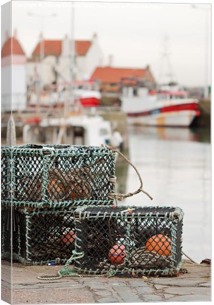 Pittenweem Harbour. Canvas Print by Tommy Dickson