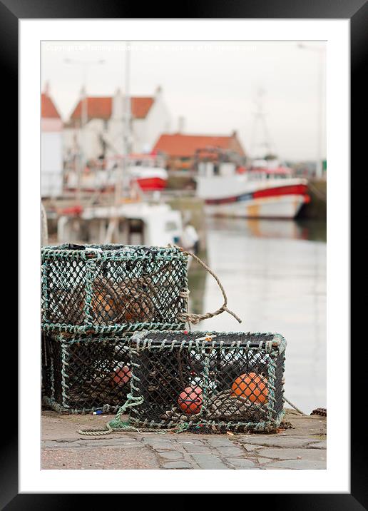 Pittenweem Harbour. Framed Mounted Print by Tommy Dickson