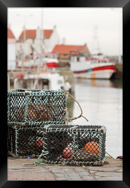 Pittenweem Harbour. Framed Print by Tommy Dickson