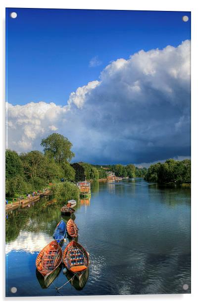 The Thames at Richmond Acrylic by Diane Griffiths