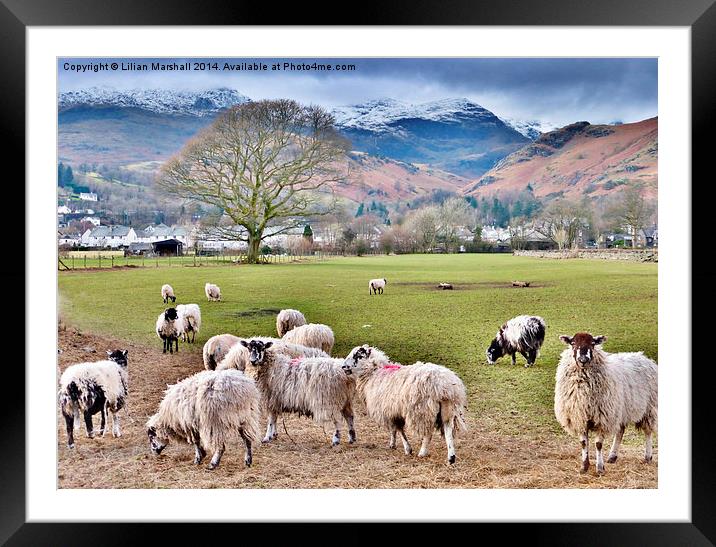 Out Rural. Framed Mounted Print by Lilian Marshall