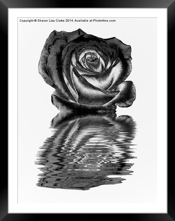 Chrome rose Framed Mounted Print by Sharon Lisa Clarke