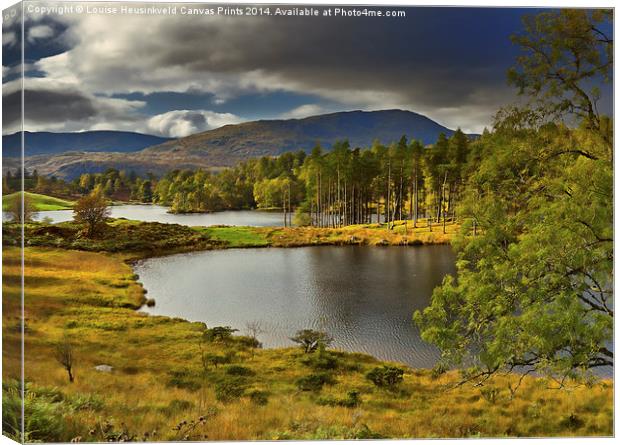 Tarn Hows, Lake District, Cumbria Canvas Print by Louise Heusinkveld