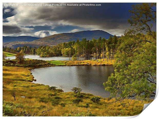 Tarn Hows, Lake District, Cumbria Print by Louise Heusinkveld