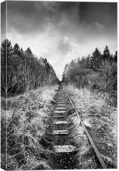 The Abandoned Track Canvas Print by Christine Smart
