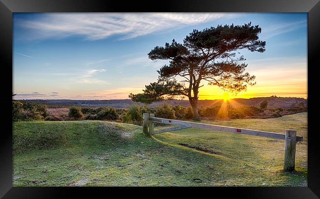 Sunset at Bratley View in the New Forest Framed Print by Helen Hotson