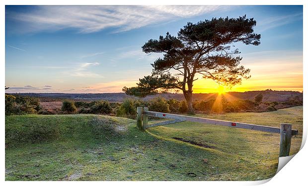 Sunset at Bratley View in the New Forest Print by Helen Hotson