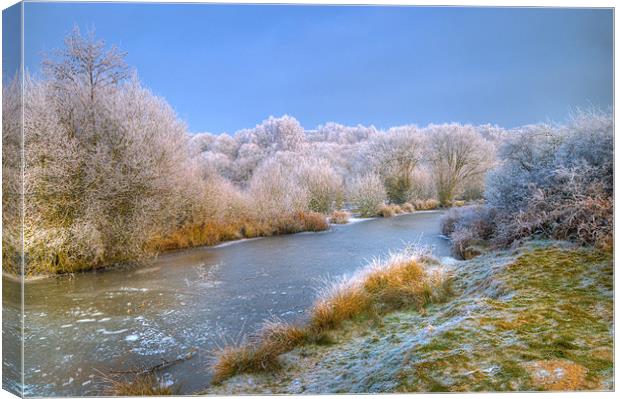 frozen Canvas Print by Eddie Howland