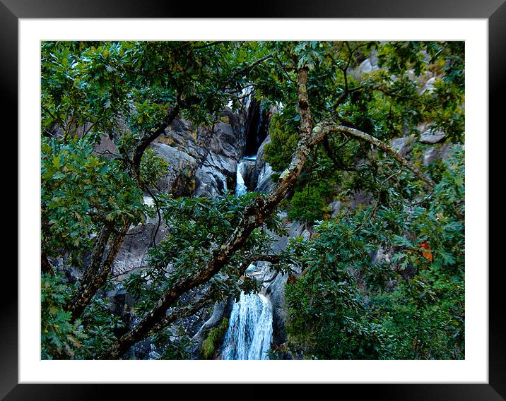Water Fall Framed Mounted Print by Luis Lajas