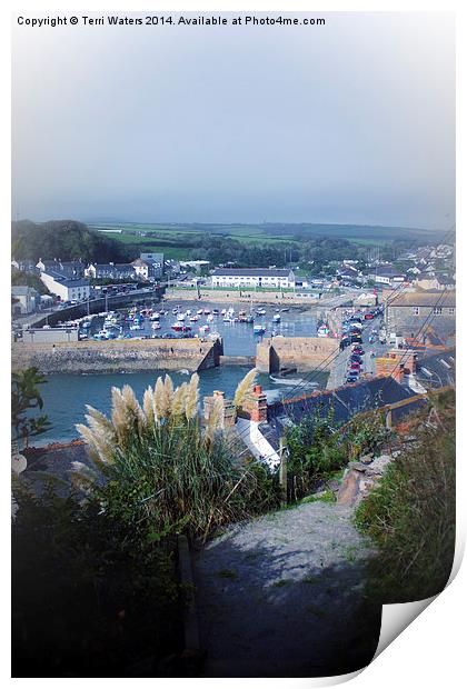Porthleven Harbour Cornwall Print by Terri Waters