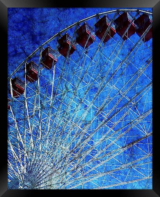 Summer Fun Framed Print by Tammy Winand