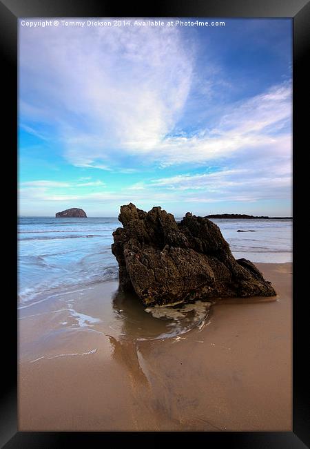 Bass Rock at Seacliff Beach Framed Print by Tommy Dickson