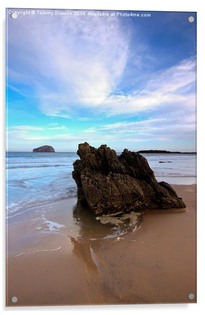 Bass Rock at Seacliff Beach Acrylic by Tommy Dickson