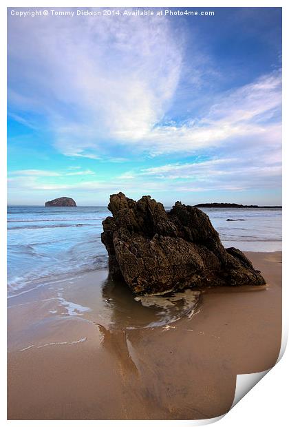 Bass Rock at Seacliff Beach Print by Tommy Dickson
