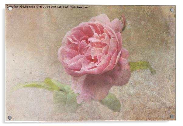 Vintage Rose Acrylic by Michelle Orai