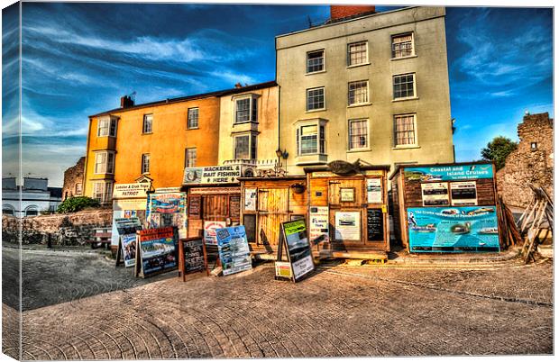 Tenby Boat Trips Canvas Print by Steve Purnell