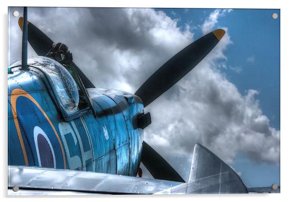 Flight Acrylic by Castleton Photographic