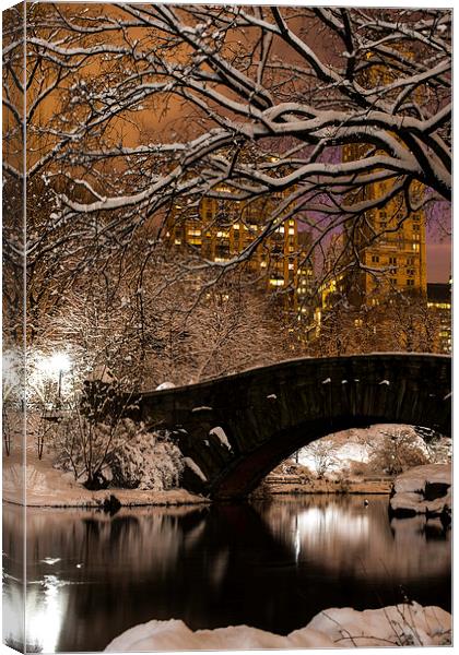 Central Park Winter Canvas Print by Kevin Ainslie