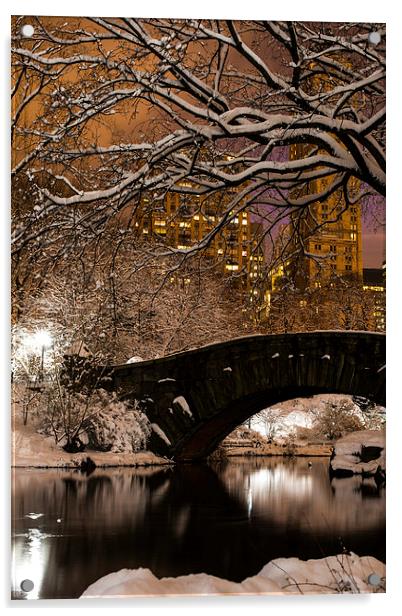 Central Park Winter Acrylic by Kevin Ainslie