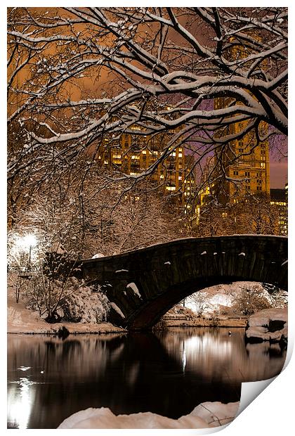 Central Park Winter Print by Kevin Ainslie