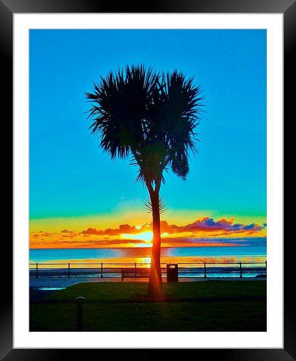 sunrise in Douglas Framed Mounted Print by jon lovejoy