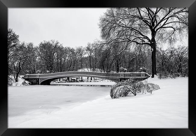 Bow Bridge Central Park Framed Print by Kevin Ainslie