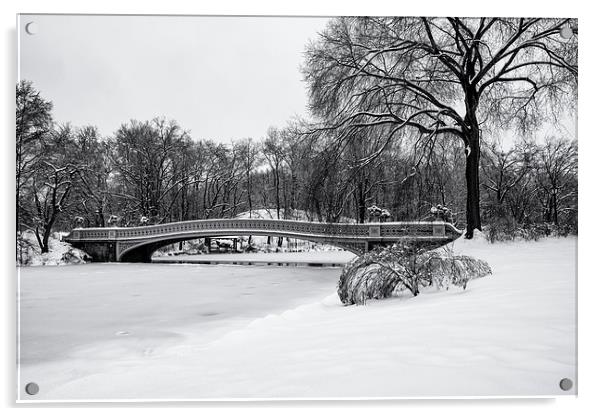 Bow Bridge Central Park Acrylic by Kevin Ainslie