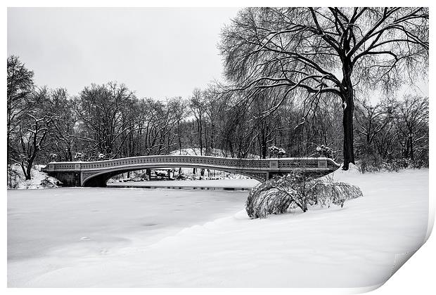 Bow Bridge Central Park Print by Kevin Ainslie