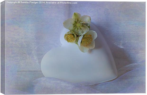 Heart and Flowers Canvas Print by Sandra Pledger