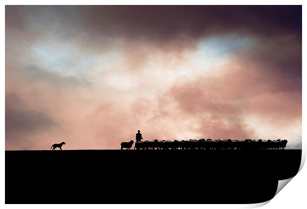 Shepherding in Devon 1 Print by Maggie McCall