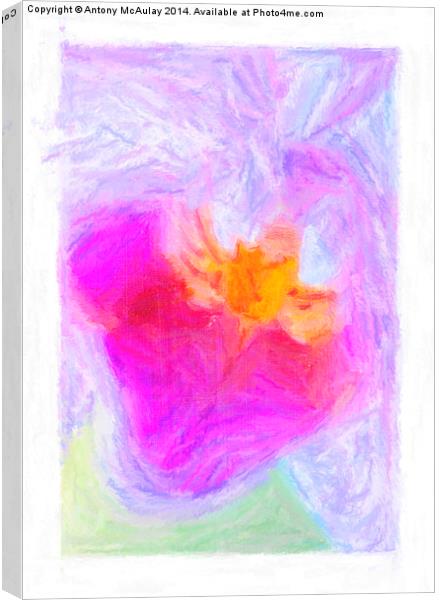 Abstract Orchid Pastel Canvas Print by Antony McAulay