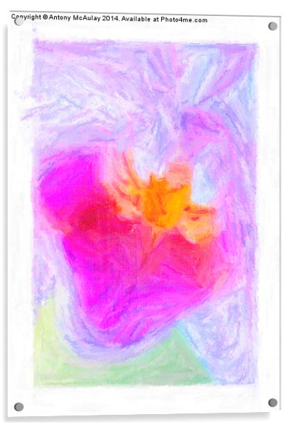 Abstract Orchid Pastel Acrylic by Antony McAulay