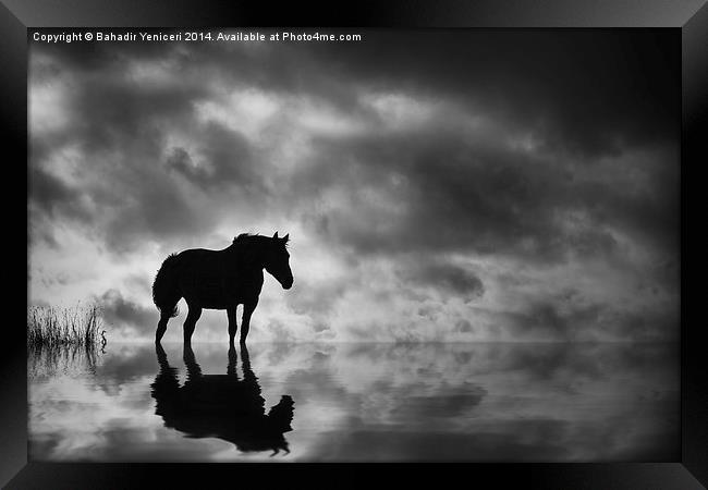 Horse Framed Print by Bahadir Yeniceri