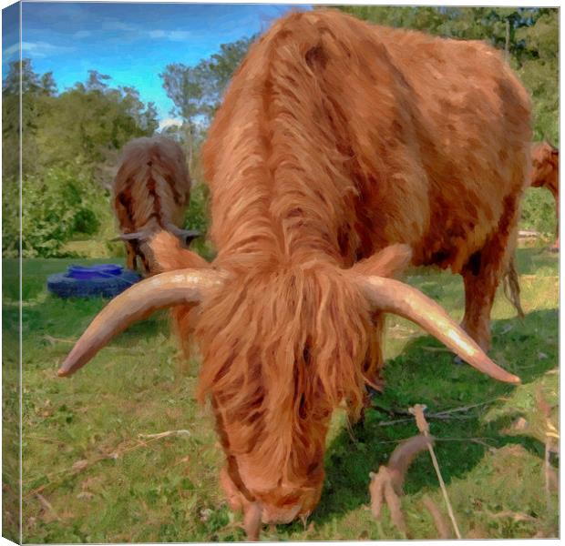 highland cow HDR Canvas Print by Antony McAulay