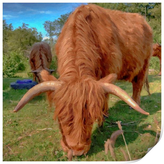 highland cow HDR Print by Antony McAulay