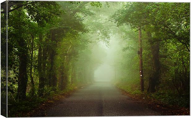 The Green Canopy Canvas Print by Dawn Cox