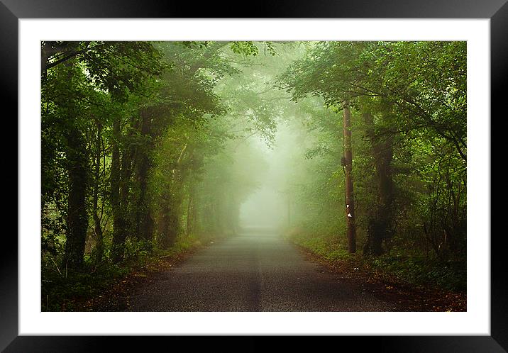 The Green Canopy Framed Mounted Print by Dawn Cox