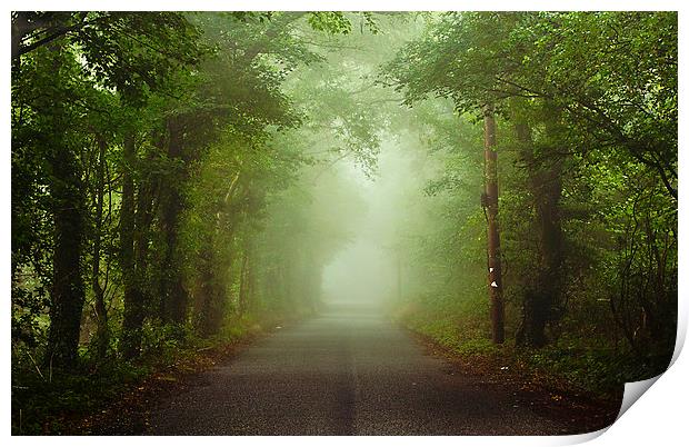 The Green Canopy Print by Dawn Cox